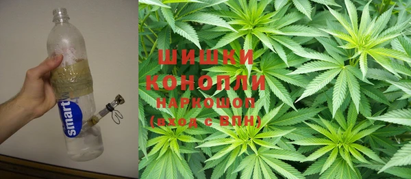 молекула духа Лиски